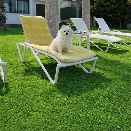 Beachfront 2-br In Pelitkoey, Access, Panoramic Terrace With Sea View Ören